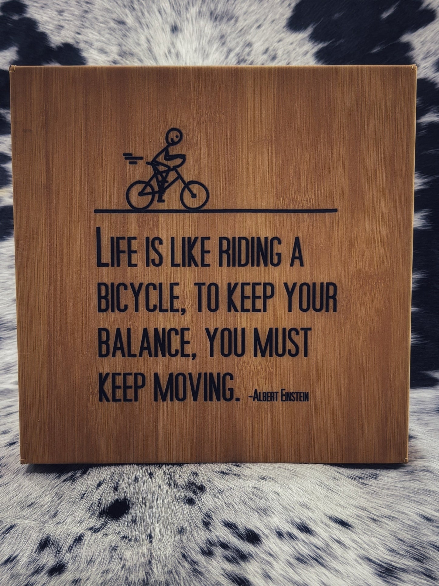 Life is Like Riding a Bike 10x10 Frame