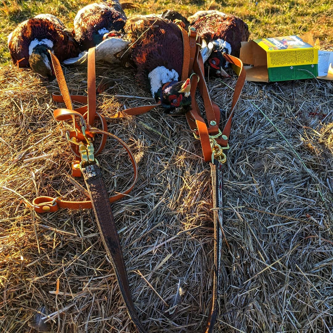 Handmade Leather Blake Bird Duck Strap - Durable & Elegant