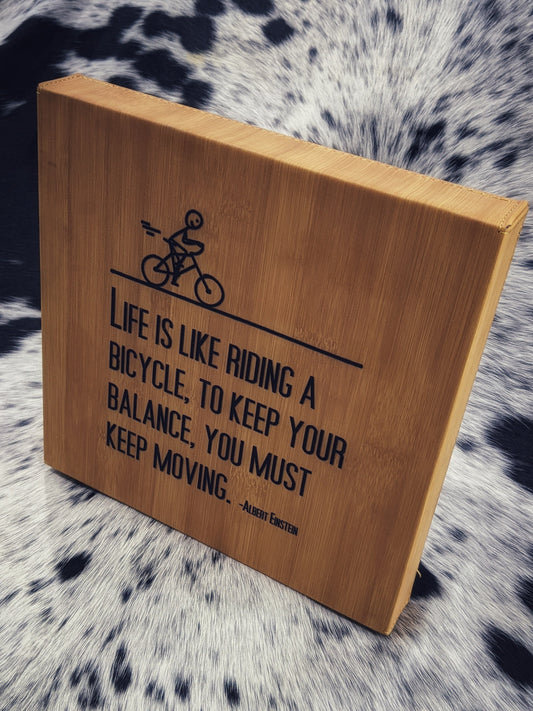 Life is Like Riding a Bike 10x10 Frame